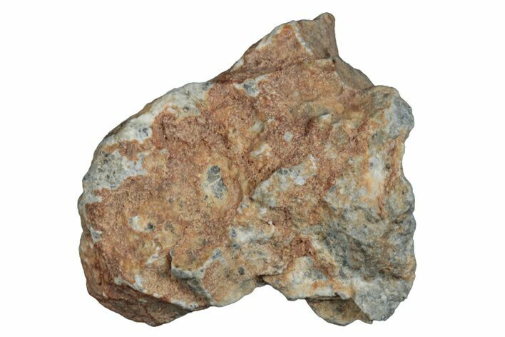 Lunar Meteorite ( g) - Bechar #288494